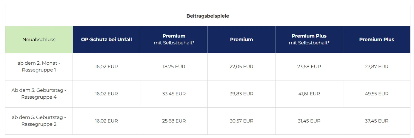 Versicherungsvermittlung Keskin -Beitragsbeispiele