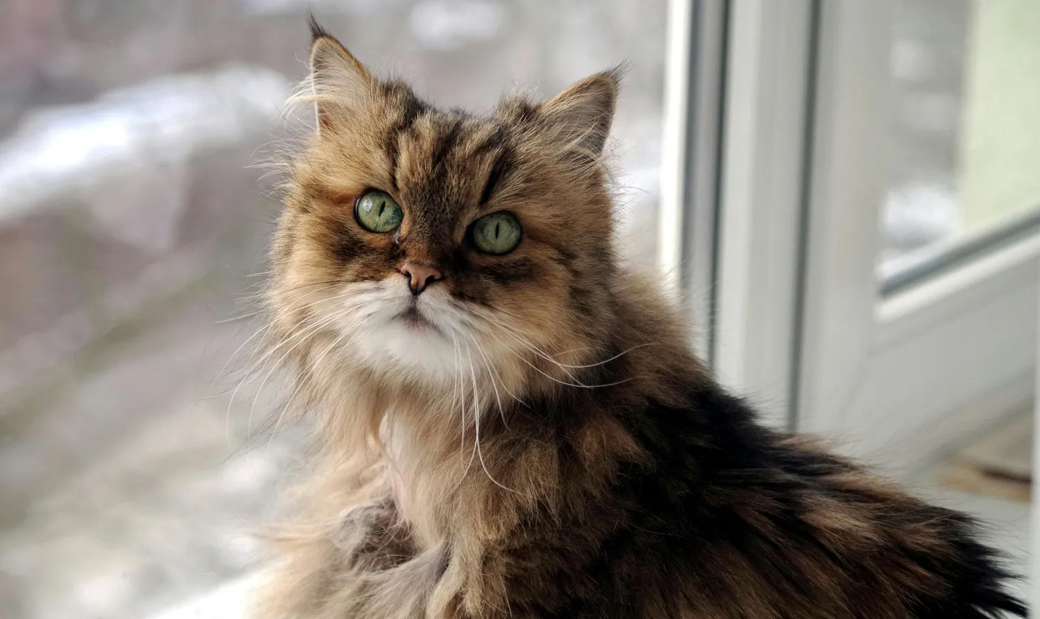 Versicherungsvermittlung Keskin - Kat