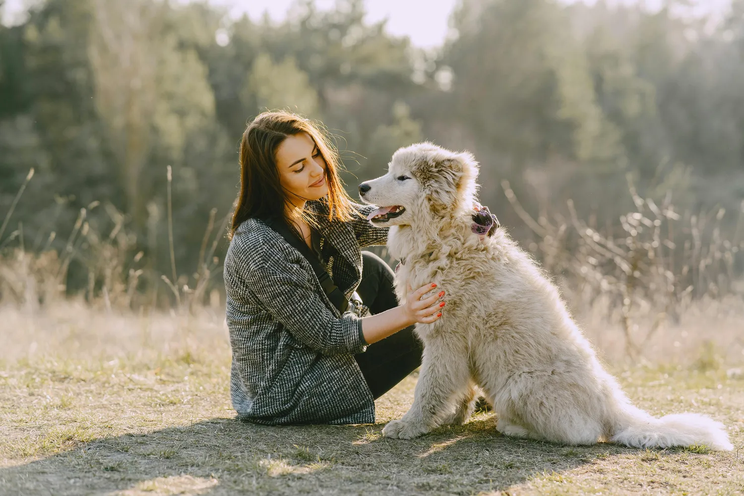 Versicherungsvermittlung Keskin - Hund