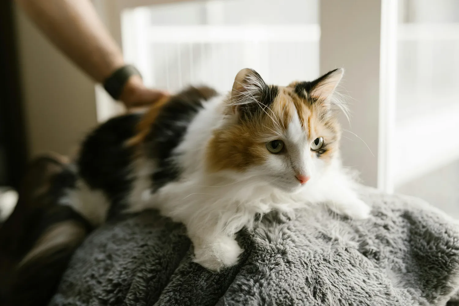 Versicherungsvermittlung Keskin - Kat